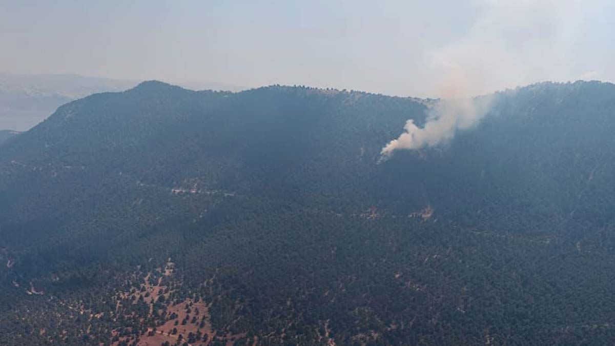 Isparta'da orman yangını