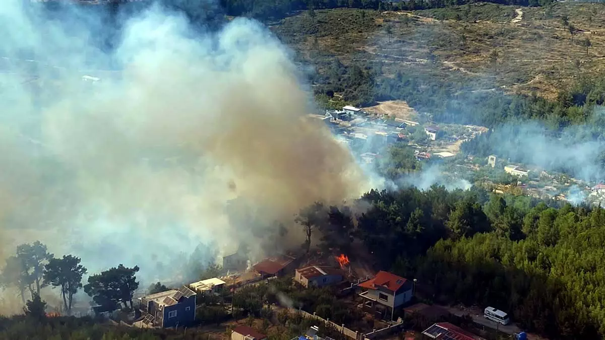 İzmir bornova'da orman yangını