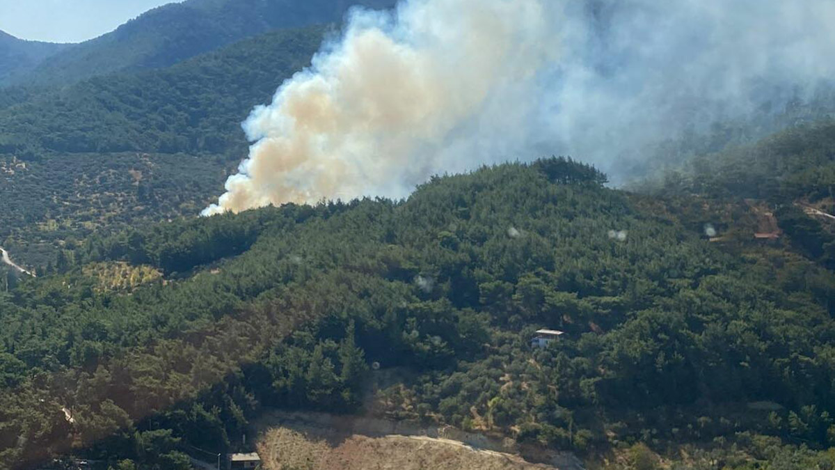 İzmir Kemalpaşa'da orman yangını