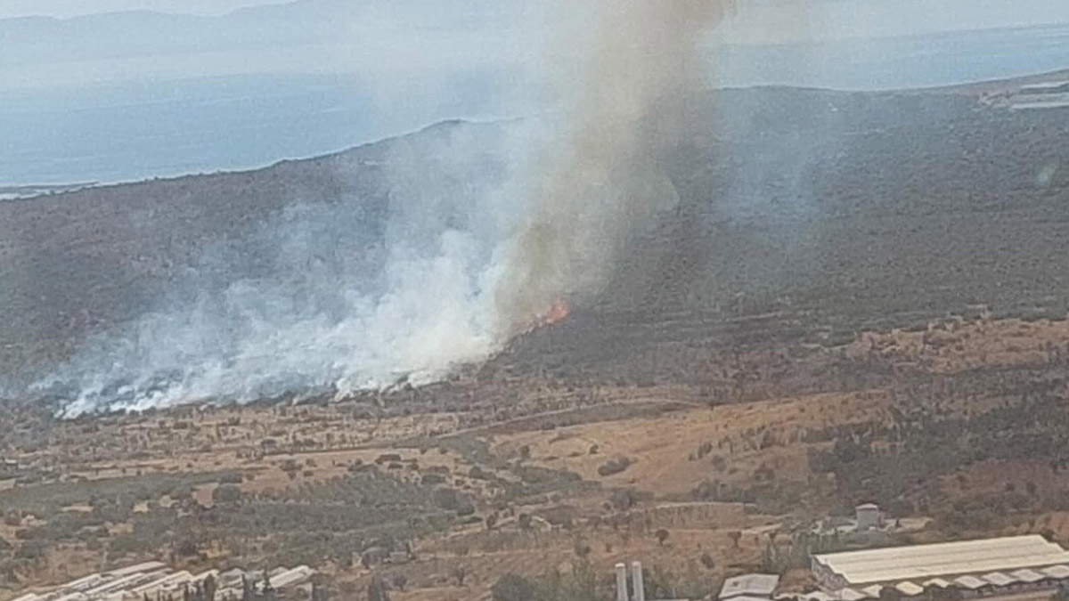 İzmir'de makilikte çıkan yangın ormana da sıçradı
