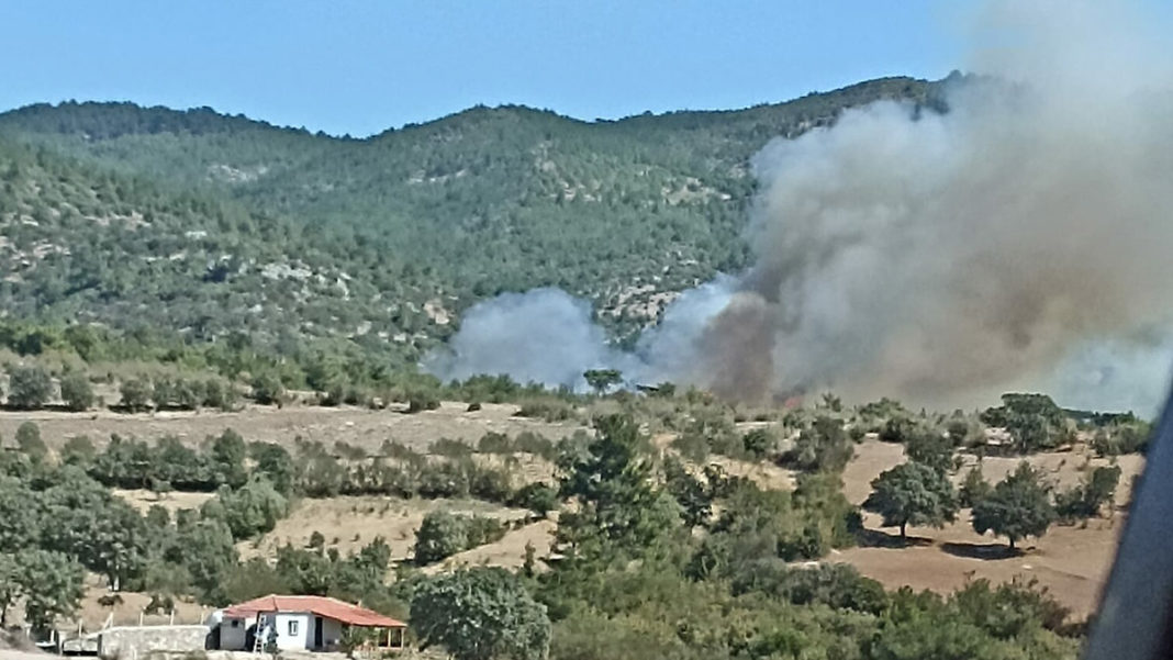 İzmir'in Bergama ilçesinde orman yangını