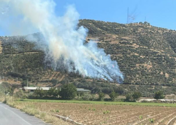İzmir'in Kiraz ilçesinde orman yangını