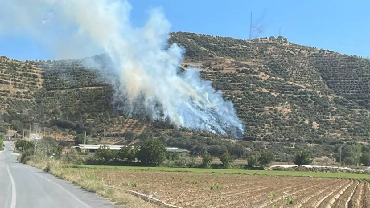 İzmir'in kiraz ilçesinde orman yangını