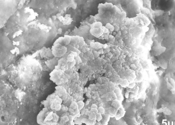 Japon bilim insanları, asteroit tozunda su buldu