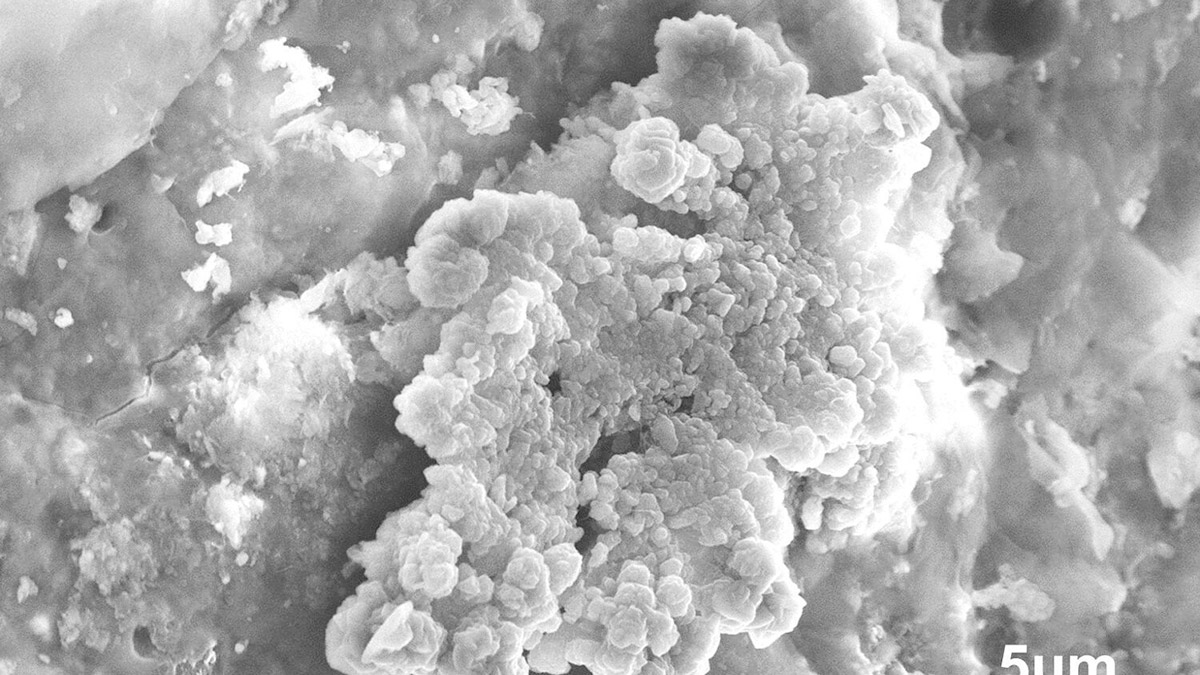 Japon bilim insanları, asteroit tozunda su buldu