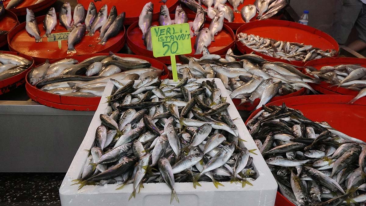 Karadeniz'de istavrit bolluğu; fiyat yarıya düştü