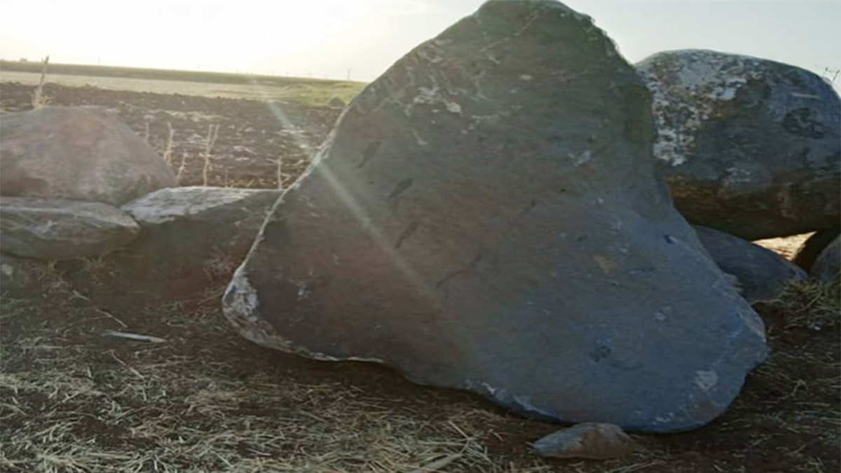 Kayanın altında kalan Sinan hayatını kaybetti