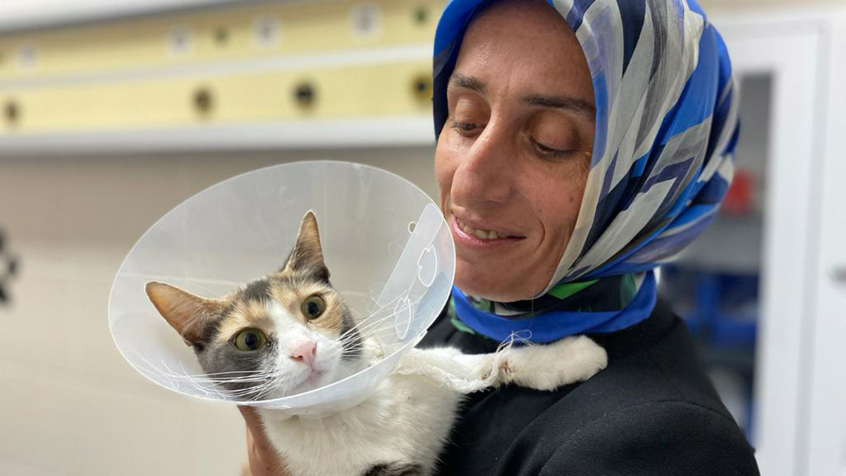 Kedisinin ameliyatı için 1700 kilometre katetti