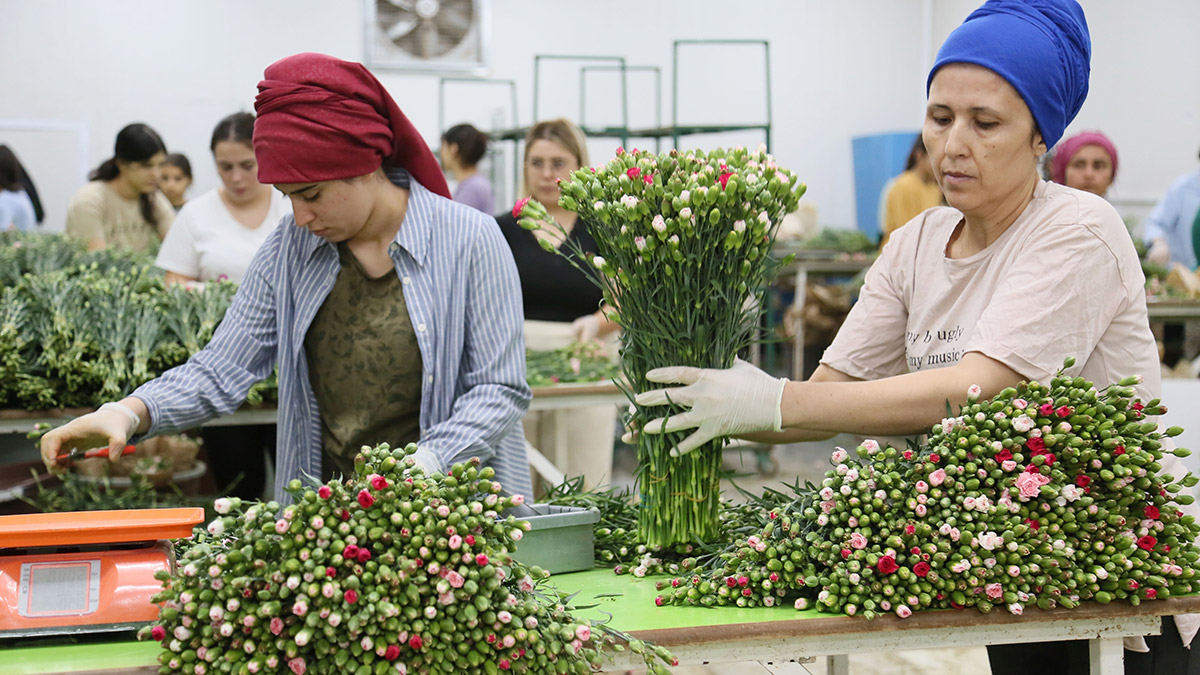 Kraliçe Elizabeth'in cenazesine Türkiye'den karanfil