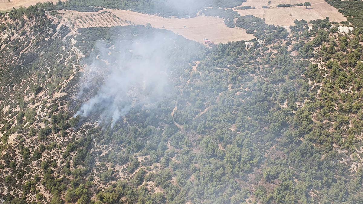 Kula'da çıkan yangında 10 dönüm alan yandı