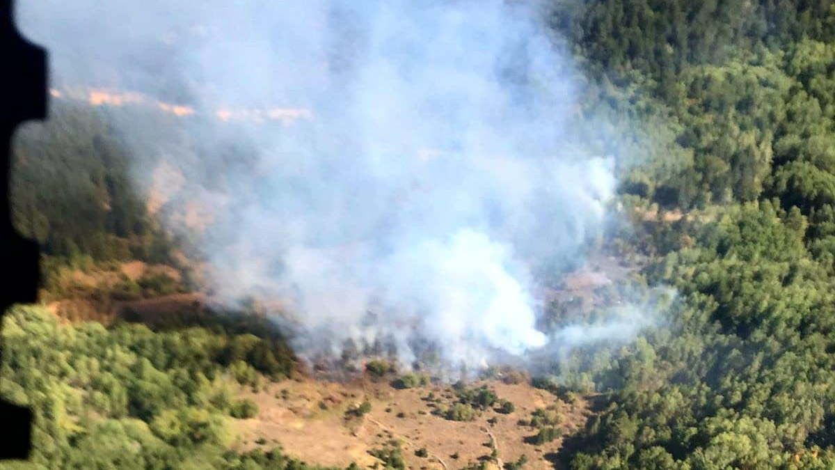 Kütahya'nın Gediz ilçesinde orman yangını