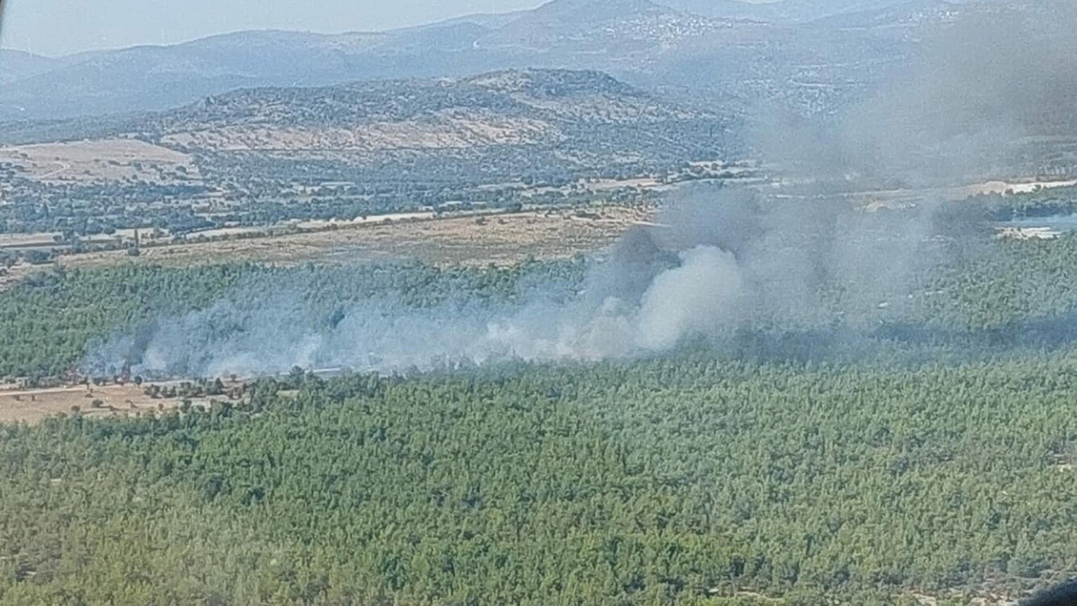 Manisa'nın Yunusemre ilçesinde orman yangını