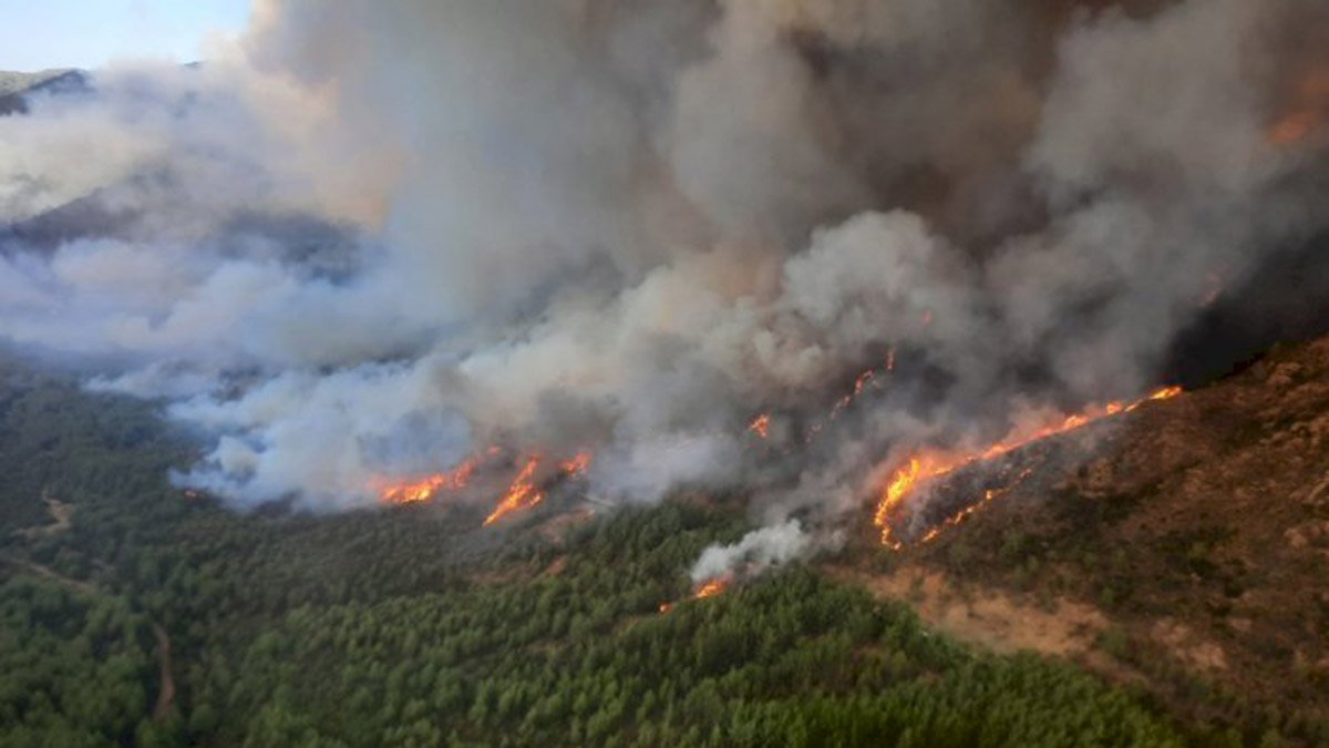Marmaris yangını, arıcının yaktığı ateşle çıktı