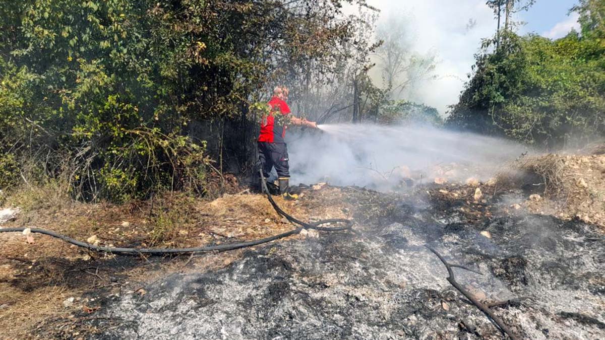 Mersin Çamlıyayla'da orman yangını