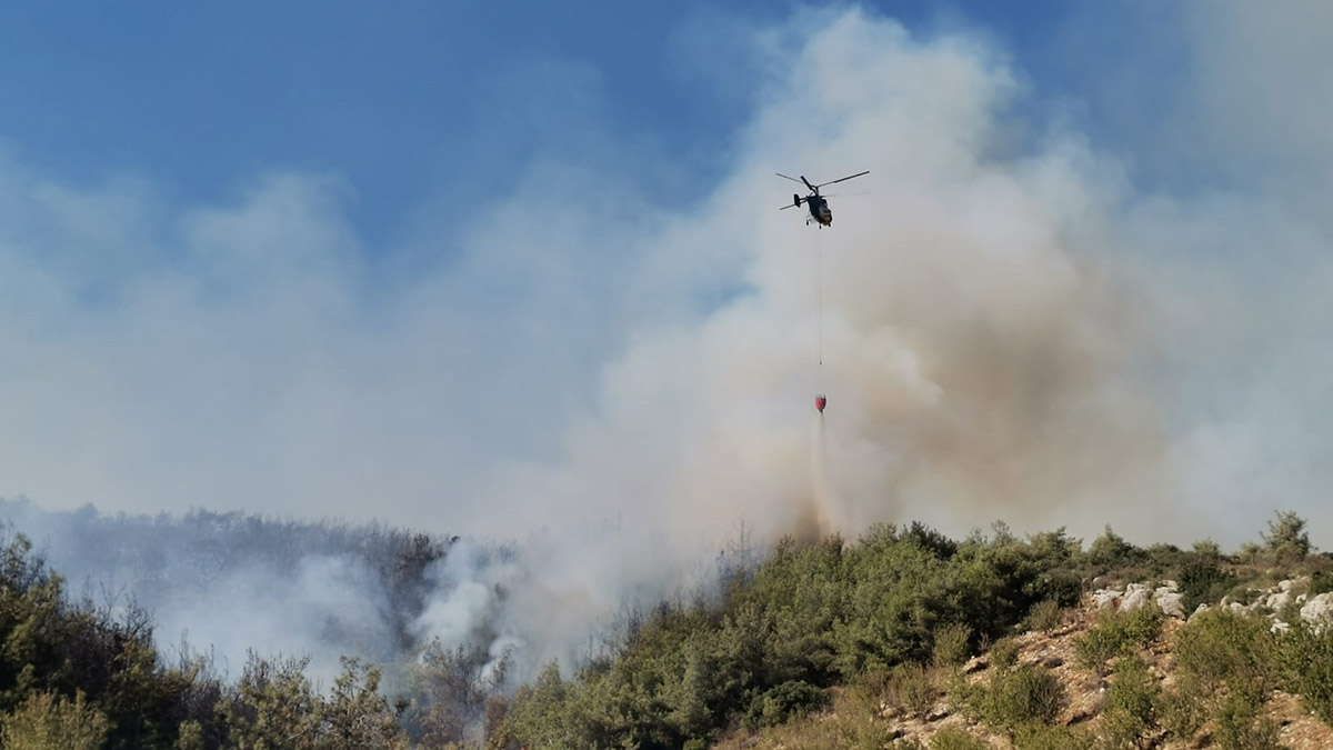 Mersin'in Akdeniz ilçesinde orman yangını çıktı