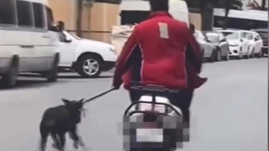 Motosikletin yanında köpeği koşturan kişiye ceza