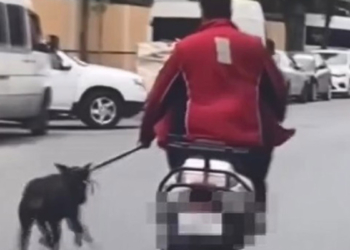 Motosikletin yanında köpeği koşturan kişiye ceza