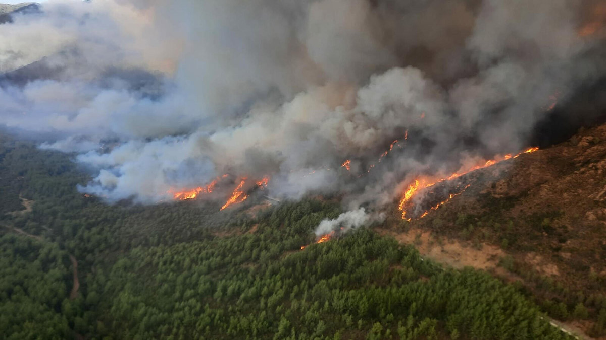 Muğla Marmaris'te orman yangını