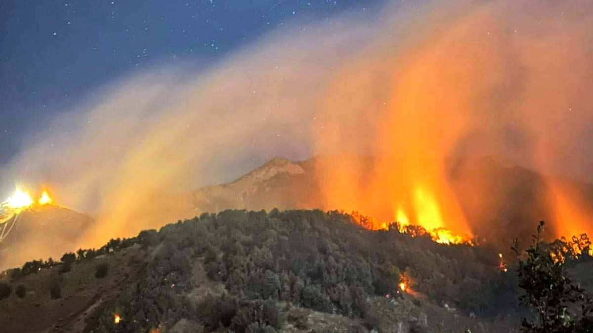 Munzur Vadisi Milli Parkı'nda orman yangını