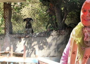 Ölü bulunan Hamide köpek saldırısına uğramış