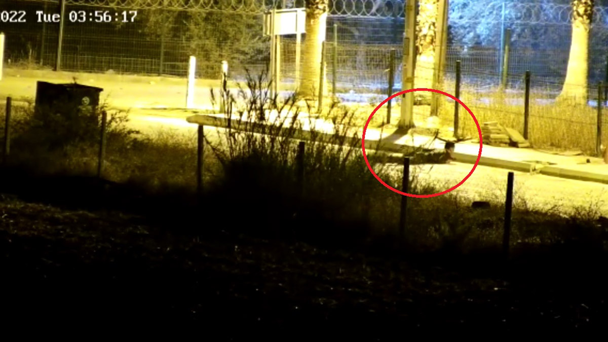 Polisevi saldırısında bekçinin müdahalesi kamerada