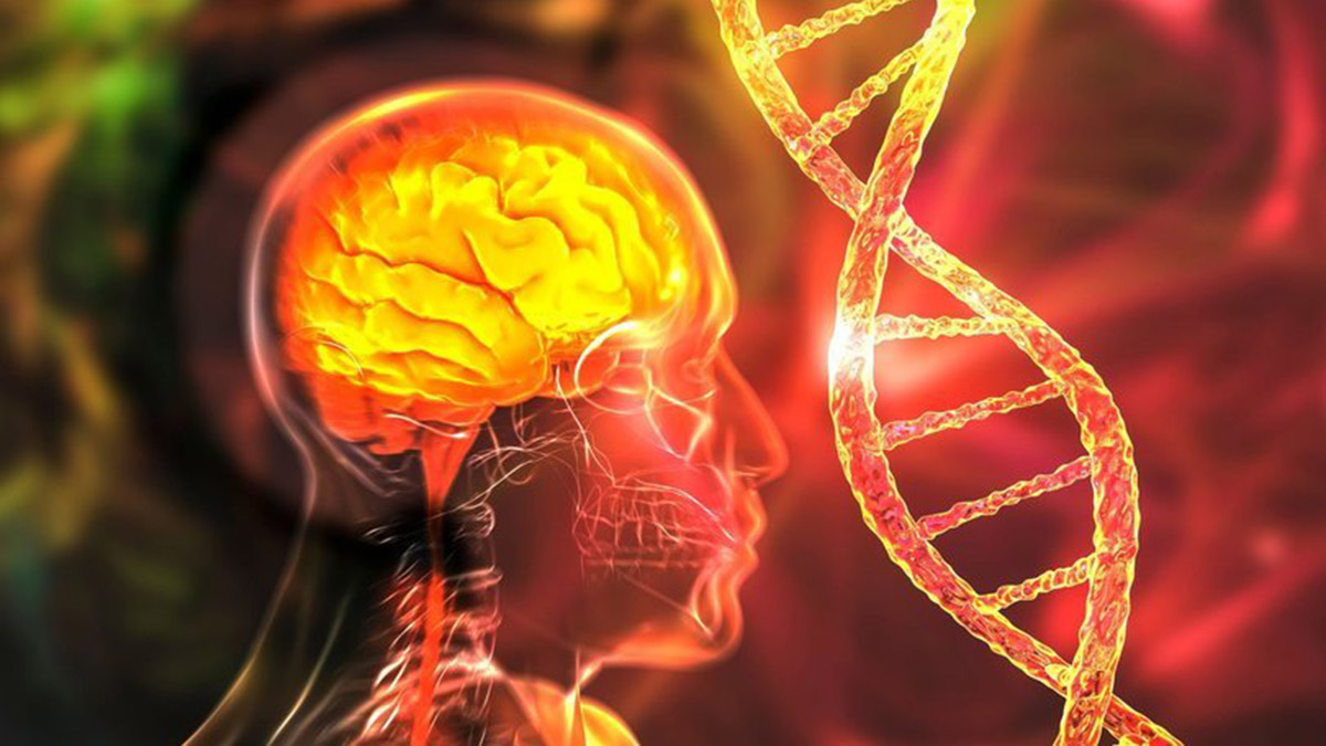 Refleks zorlayan oyunlar Alzheimer'dan koruyor