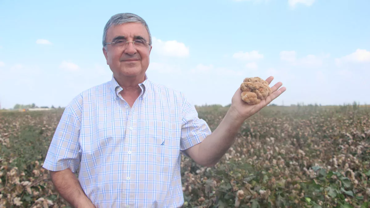 Renkli pamuklarda hedef avrupa ve abd markalari 1 - yerel haberler - haberton