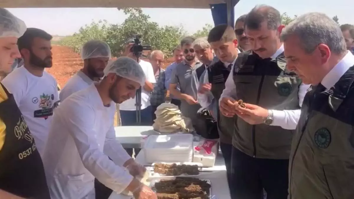 Sanliurfada fistik kebabi ziyafeti 1 - yerel haberler - haberton