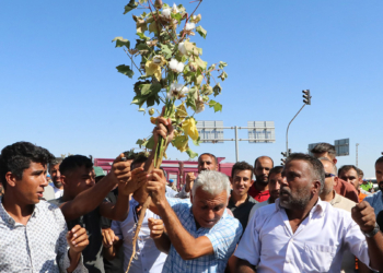 Şanlıurfa'da pamuğun taban fiyatına eylem