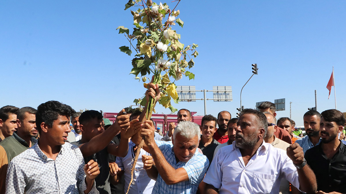 Şanlıurfa'da pamuğun taban fiyatına eylem