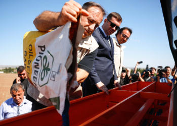 Silivri'de kanola tohumları toprakla buluştu