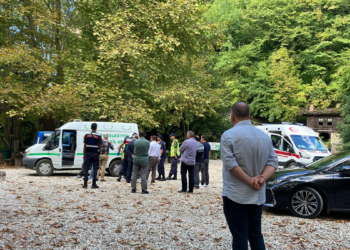 Sinop'ta üzerlerine ağaç devrildi: 2 ölü, 1 yaralı
