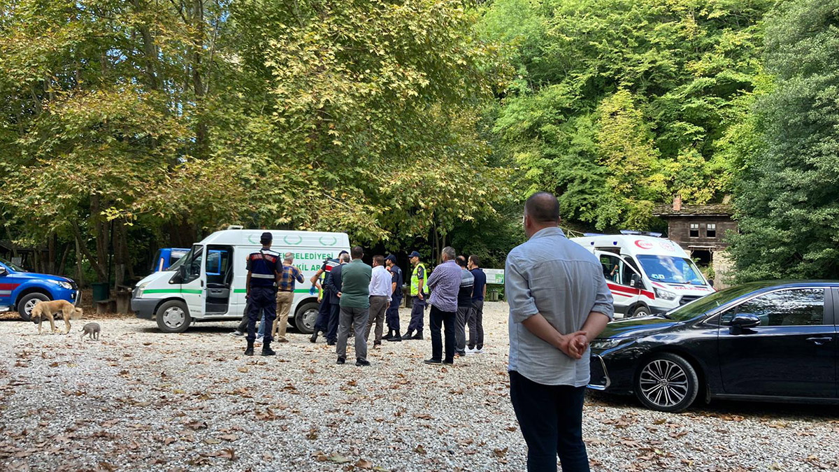 Sinop'ta üzerlerine ağaç devrildi: 2 ölü, 1 yaralı