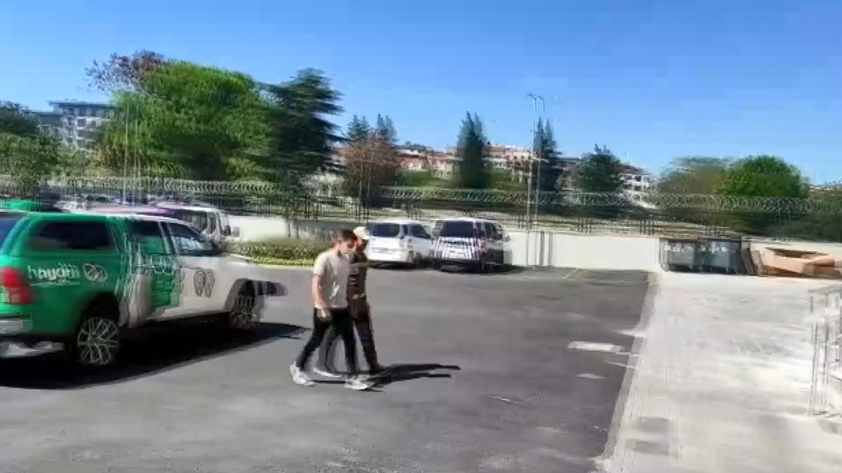 Sokak kedisini öldüren pitbullun sahibine para cezası