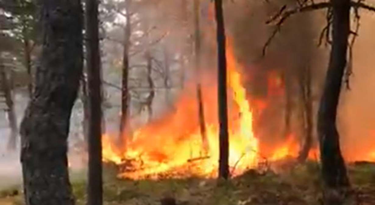 Tokat'ta aynı yerde ikinci kez orman yangını