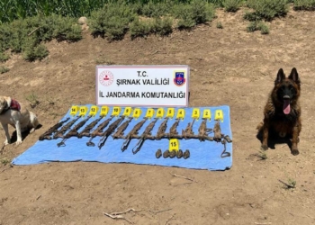 Toprağa gömülü çok sayıda mühimmat bulundu