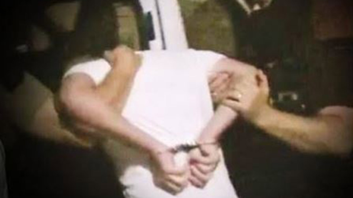 Türk Interpolü, 7 suç örgütü liderini yakaladı