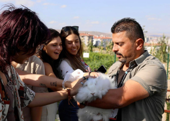 Uluslararası İlgi Endemik Vadi'de