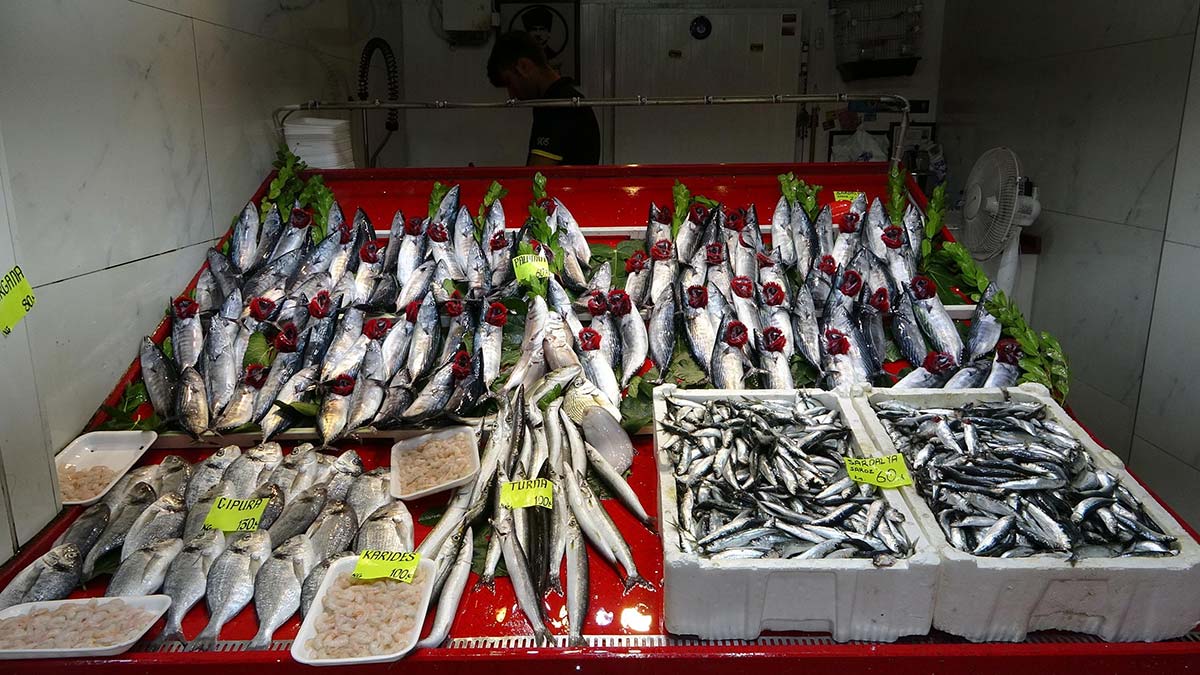 Yasağın kalkmasıyla sardalyanın kilosu 60 TL oldu