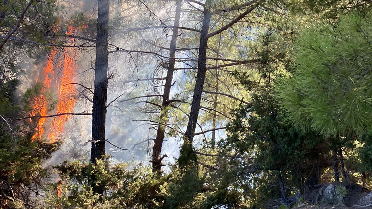 Feke ve Kozan'da orman yangını