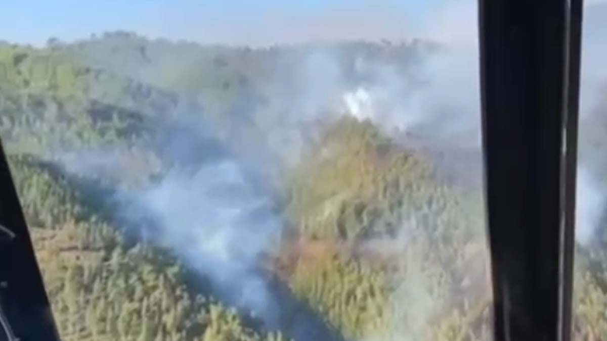 Alanya'da orman yangını