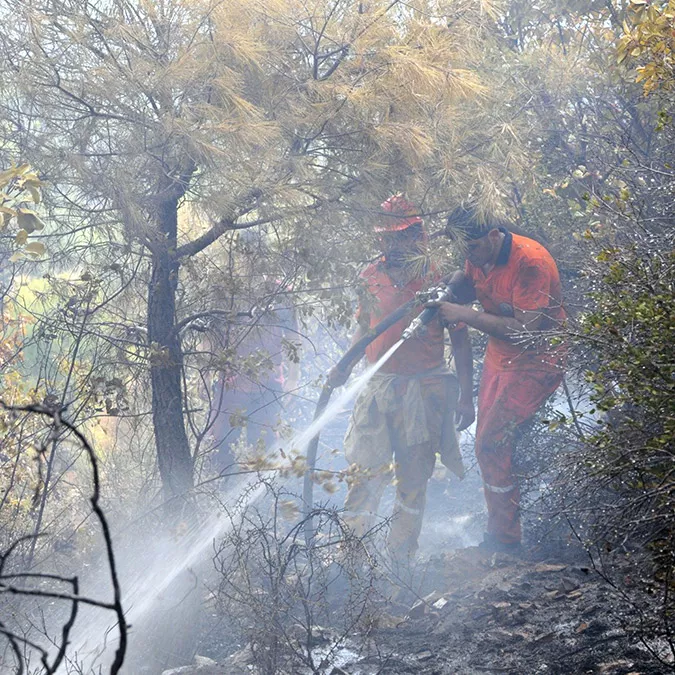 Alanya'da orman yangınında 5 hektar kül oldu