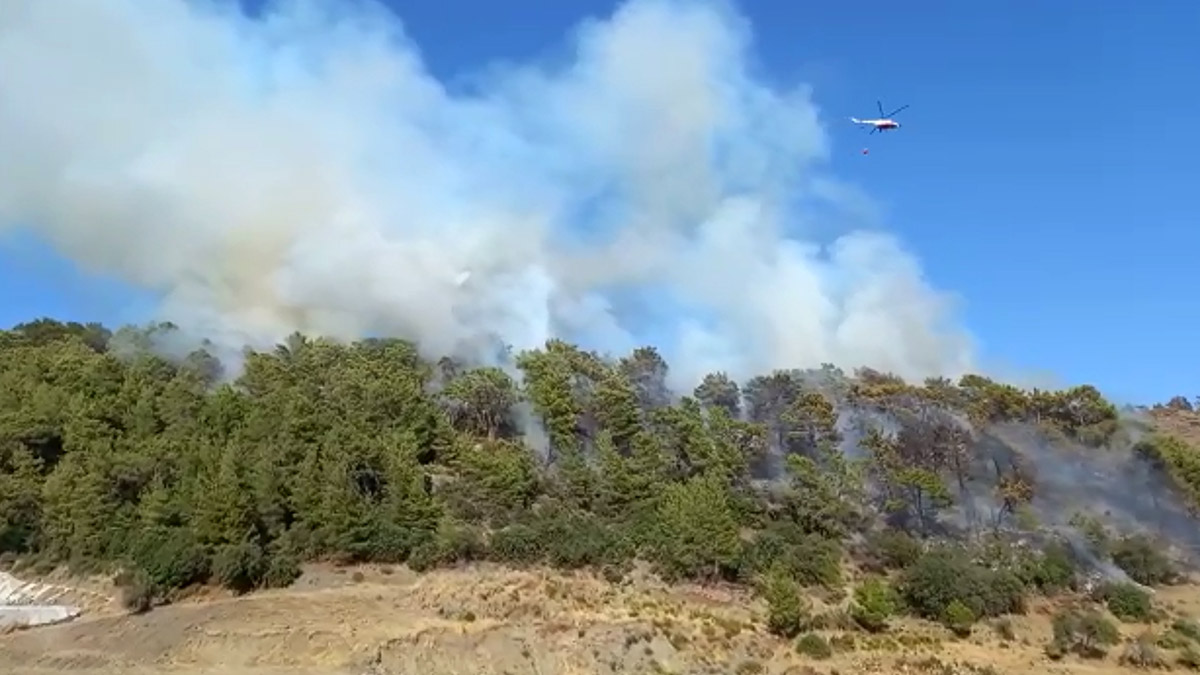 Antalya Kumluca'da orman yangını