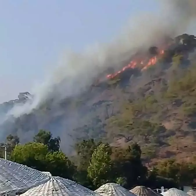 Antalya'da ormanda çıkan yangın 1 saatte söndürüldü
