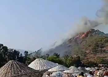 Antalya'da ormanda çıkan yangın 1 saatte söndürüldü