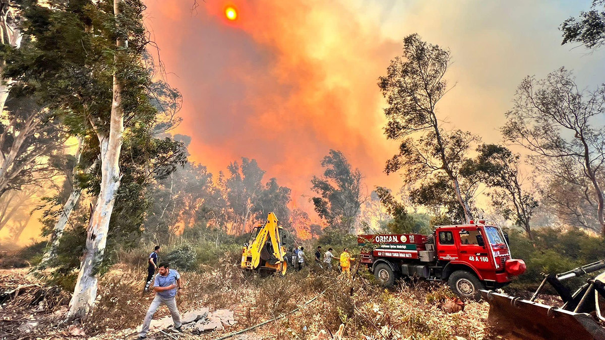 Antalya'daki orman yangınında 15 hektar zarar gördü