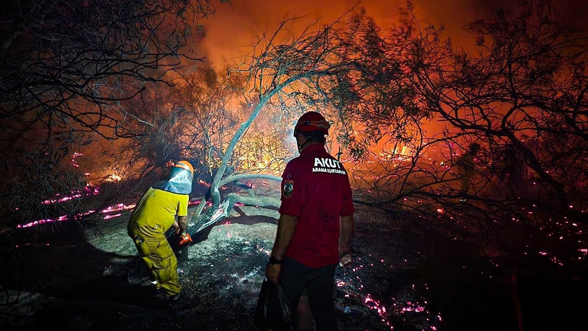 Antalya'daki orman yangınında 15 hektar zarar gördü. Yangının etrafı iş makineleriyle geniş yollar açılarak çevrildi. Dün saat 22.00 sıralarında rüzgarın hızını kaybetmesi ile yangın da kontrol altına alındı.