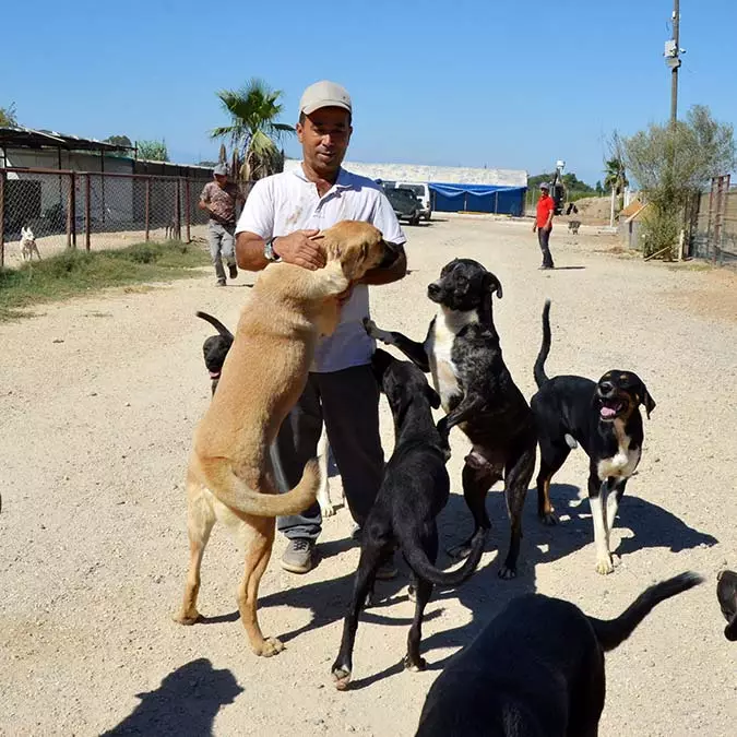 Antalya'nın serik ilçesinde hayvansever iş insanı mustafa denizer, kiraladığı 8 bin metrekarelik arazide barınak kurarak 170 sokak köpeğine sahip çıktı.