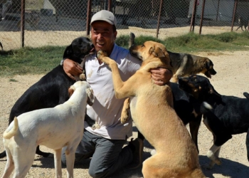 Antalya'nın Serik ilçesinde hayvansever iş insanı Mustafa Denizer, kiraladığı 8 bin metrekarelik arazide barınak kurarak 170 sokak köpeğine sahip çıktı.