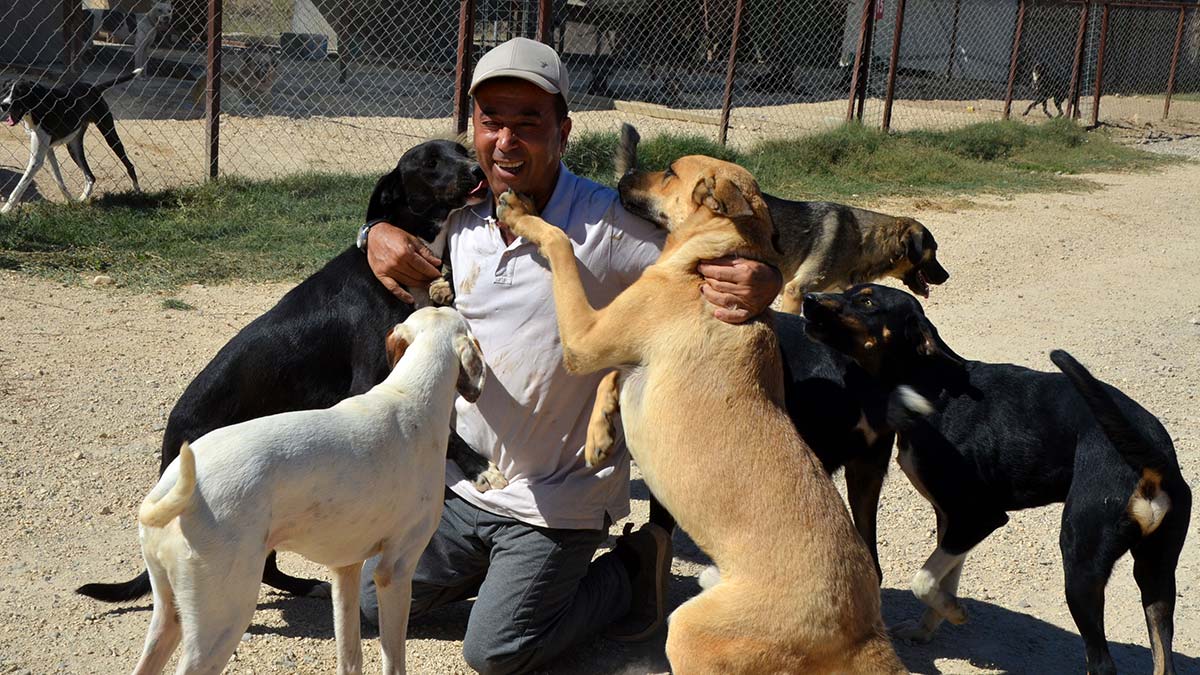 Antalya'nın Serik ilçesinde hayvansever iş insanı Mustafa Denizer, kiraladığı 8 bin metrekarelik arazide barınak kurarak 170 sokak köpeğine sahip çıktı.